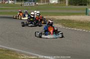 DSC_0202 (2)